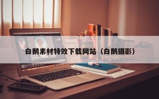 江阴白鹅素材特效下载网站（白鹅摄影）